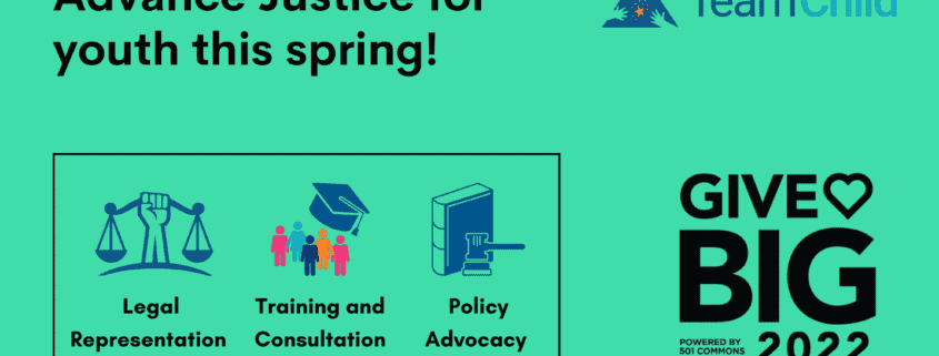 Black text on teal reads Advance Justice for youth this spring - GiveBIG 2022 - 3 icons appear below, representing Legal Representation, Training and Consultation, and Policy Advocacy